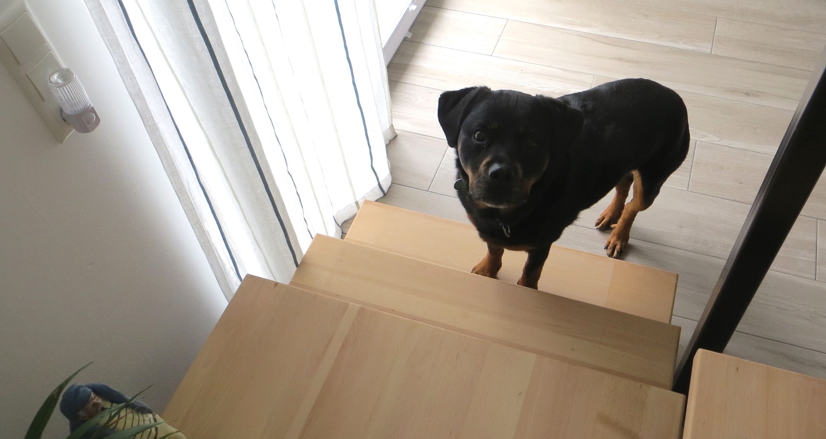 PVC Anti Rutsch Schutz Folie dunkel grau selbstklebend, ca 115 cm x 50 cm  Hund